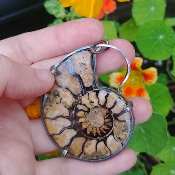 Pair of ammonite pendants